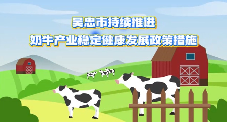 视频解读：《吴忠市持续推进奶牛产业稳定健康发展政策措施》
